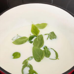 Infusionar leche con albahaca